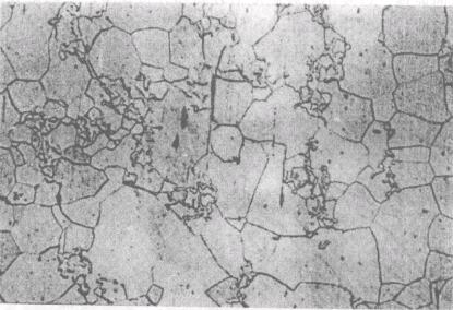 D10.176ʧЧoڽƾҺgĽM120 x