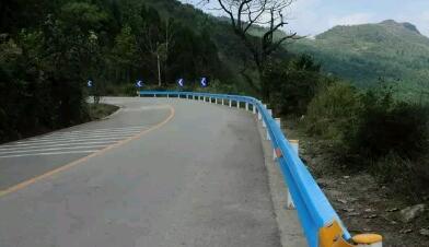 (L̎Ĳo(h)ں͌(do)(bio)R)